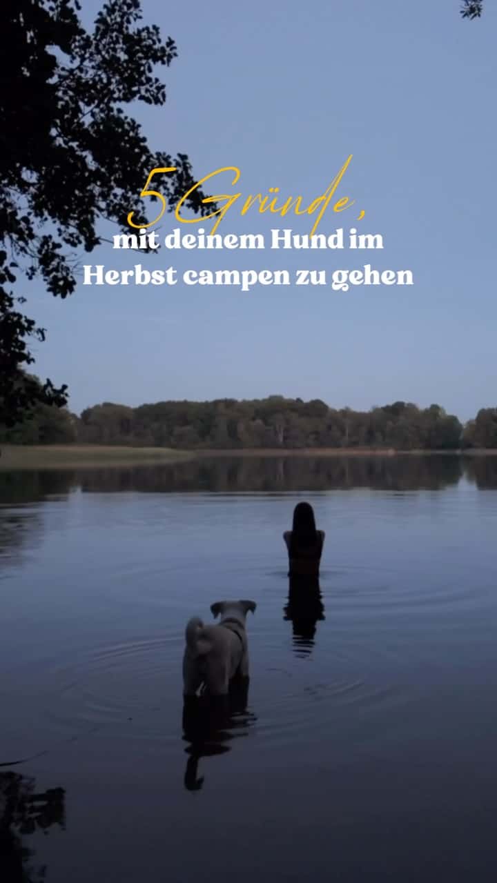 Instagram-Beitrag von Ahoi-Camp Fehmarn