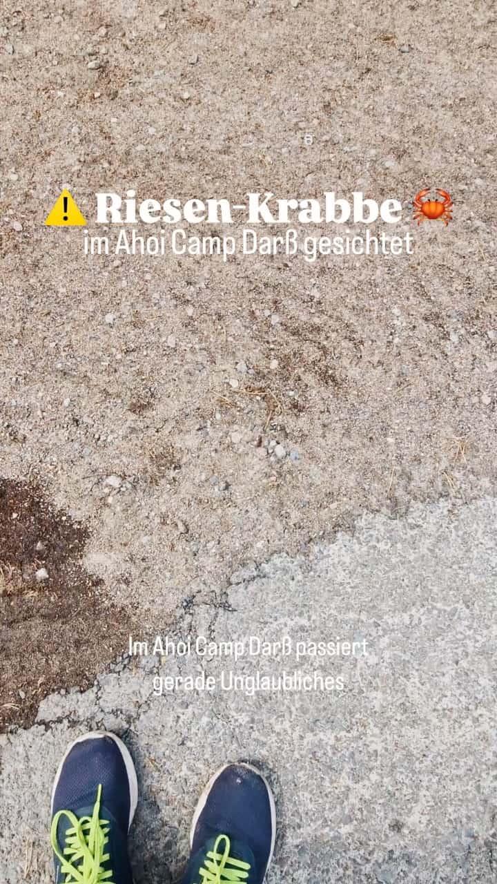 Instagram-Beitrag von Ahoi-Camp Fehmarn