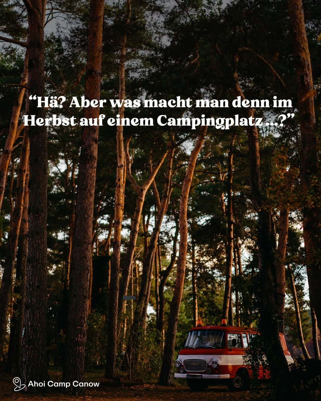 Instagram-Beitrag von Ahoi-Camp Fehmarn