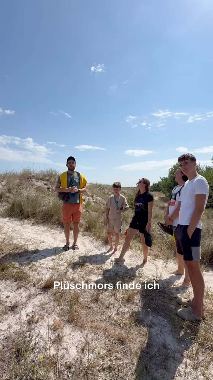 Instagram-Beitrag von Ahoi-Camp Fehmarn