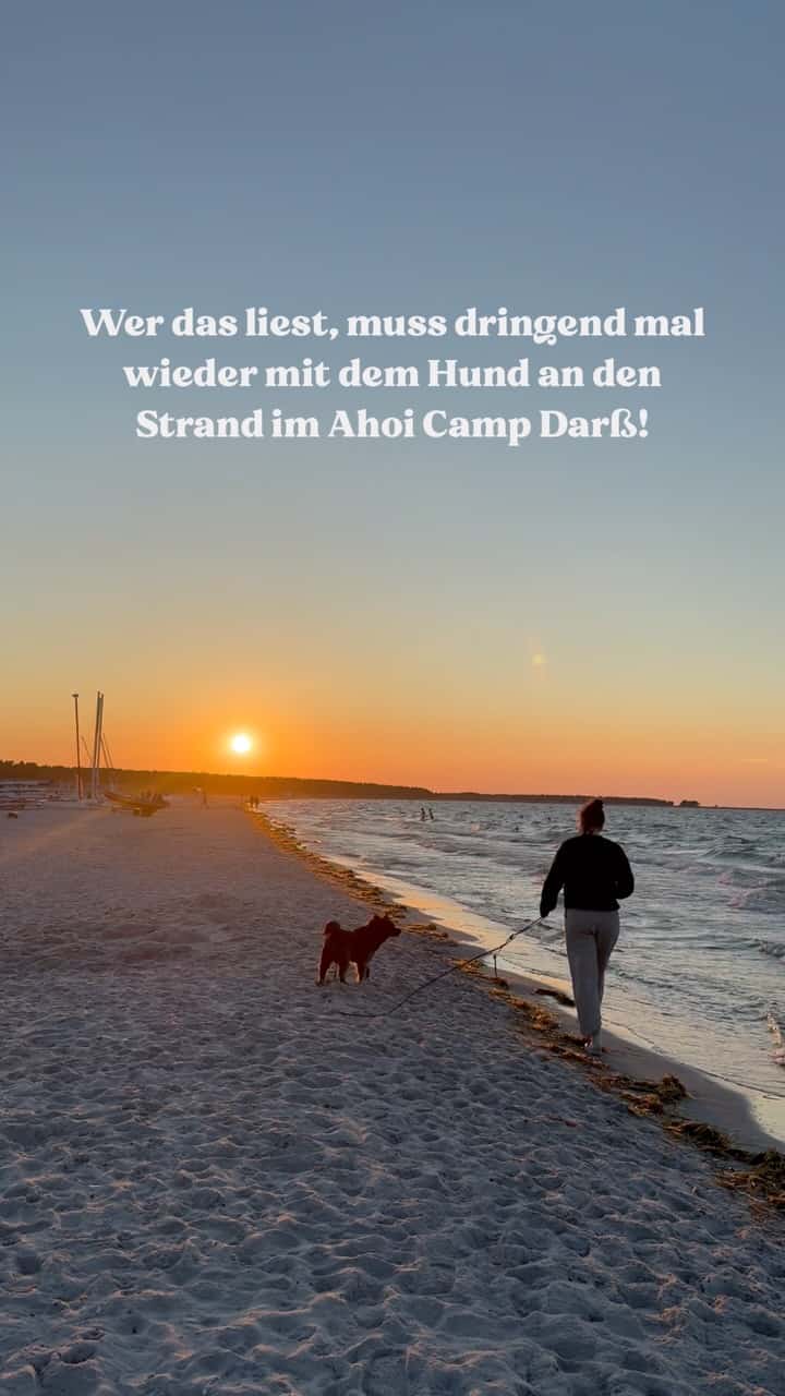 Instagram-Beitrag von Ahoi-Camp Fehmarn