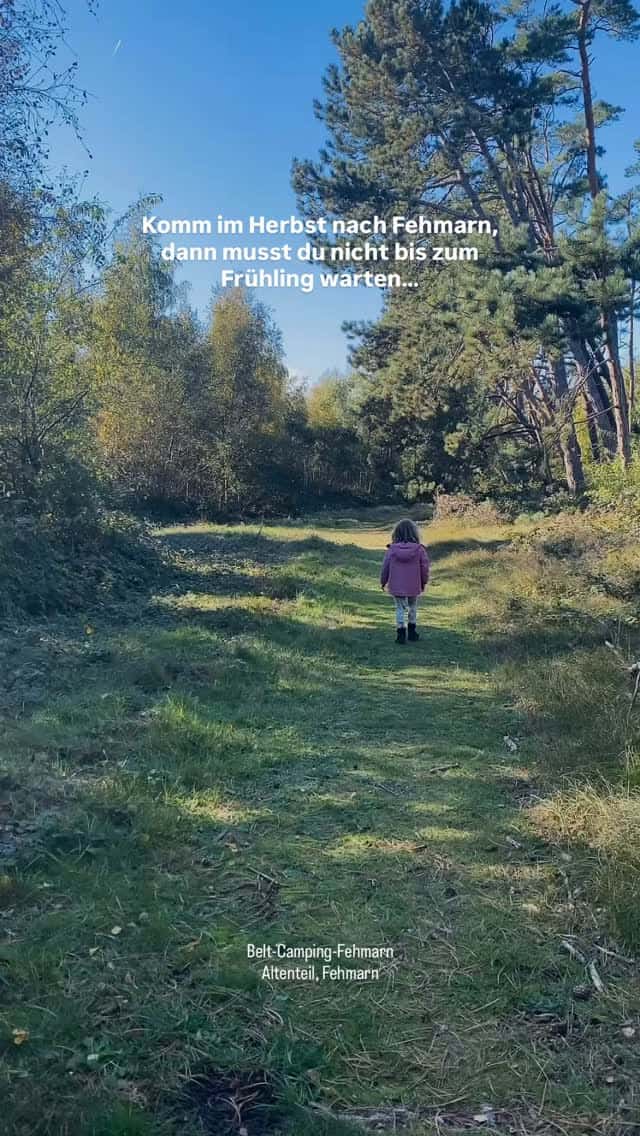 Instagram-Beitrag von Belt Camping Fehmarn
