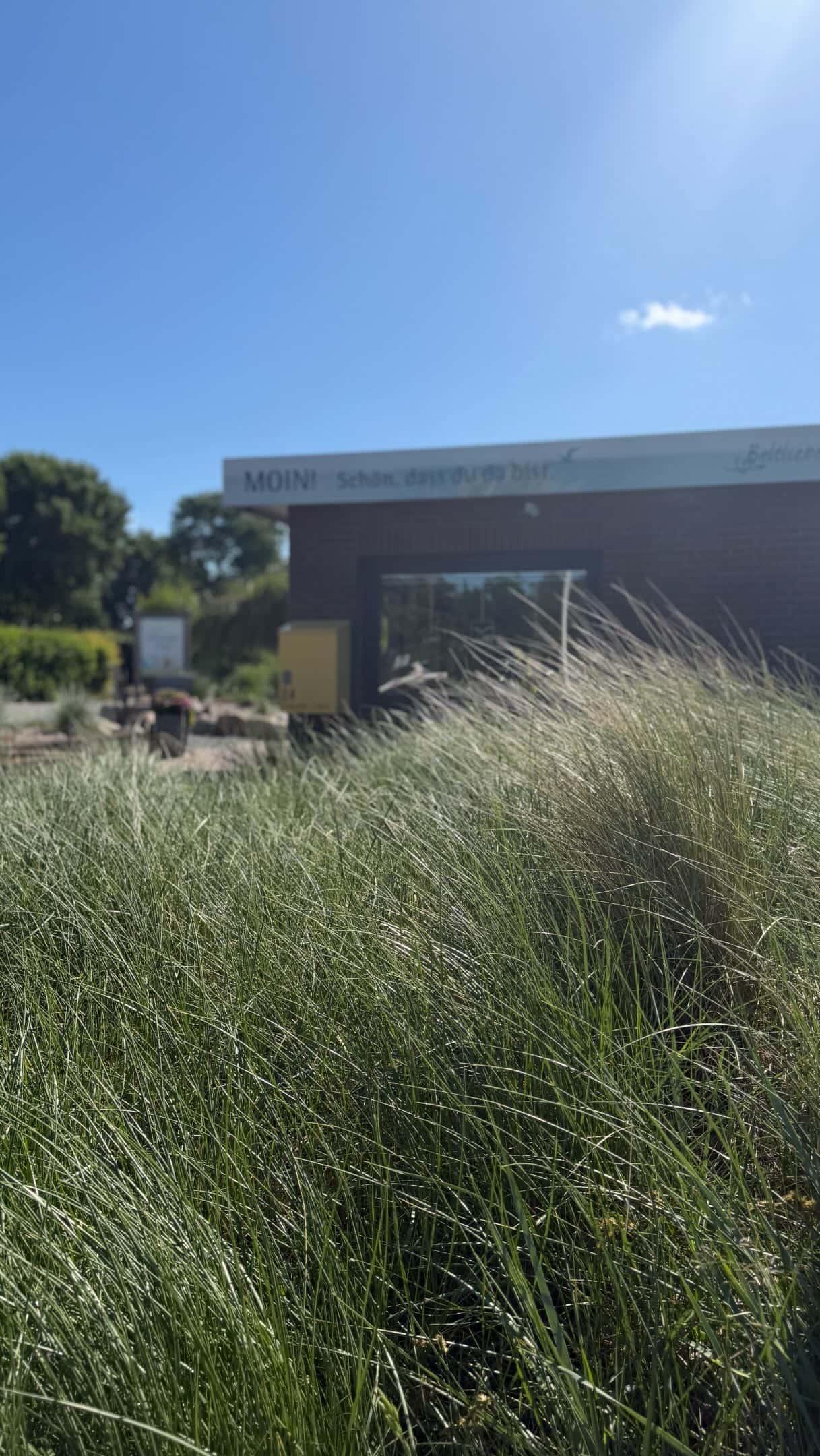 Instagram-Beitrag von Belt Camping Fehmarn