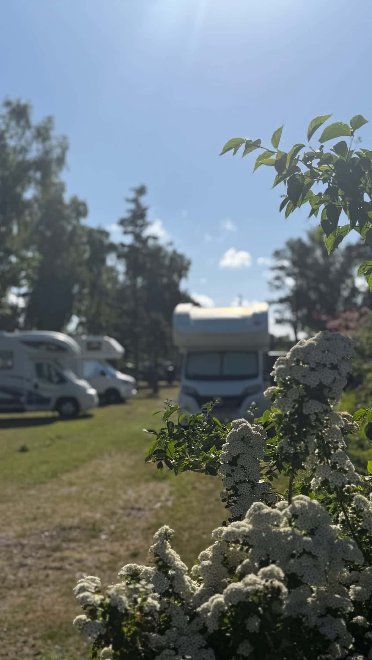 Instagram-Beitrag von Belt Camping Fehmarn