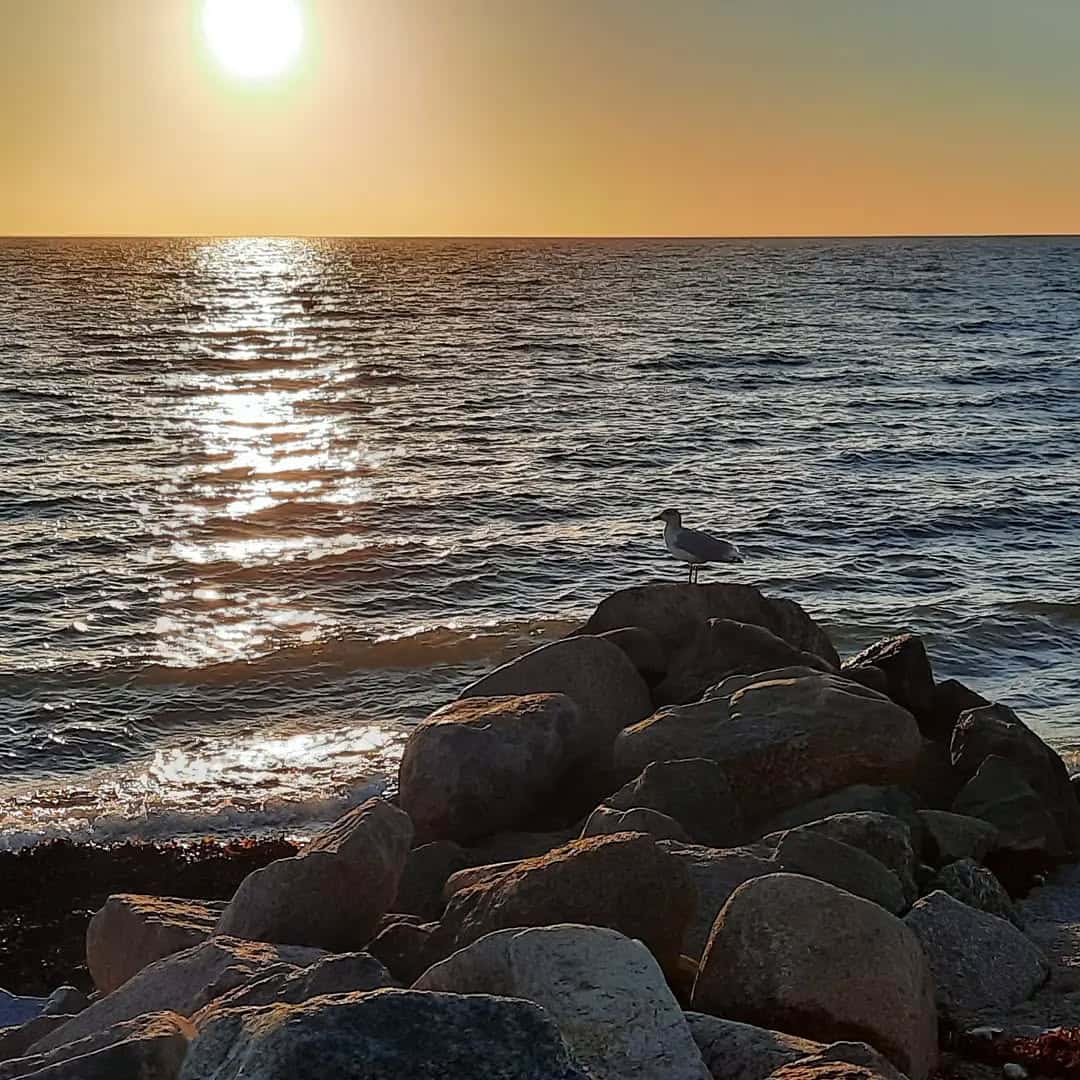 Instagram-Beitrag von Camping Flügger Strand