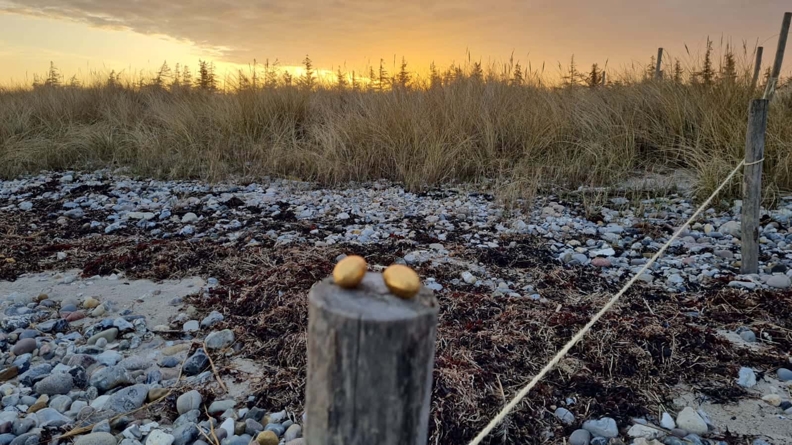 Instagram-Beitrag von Camping Flügger Strand