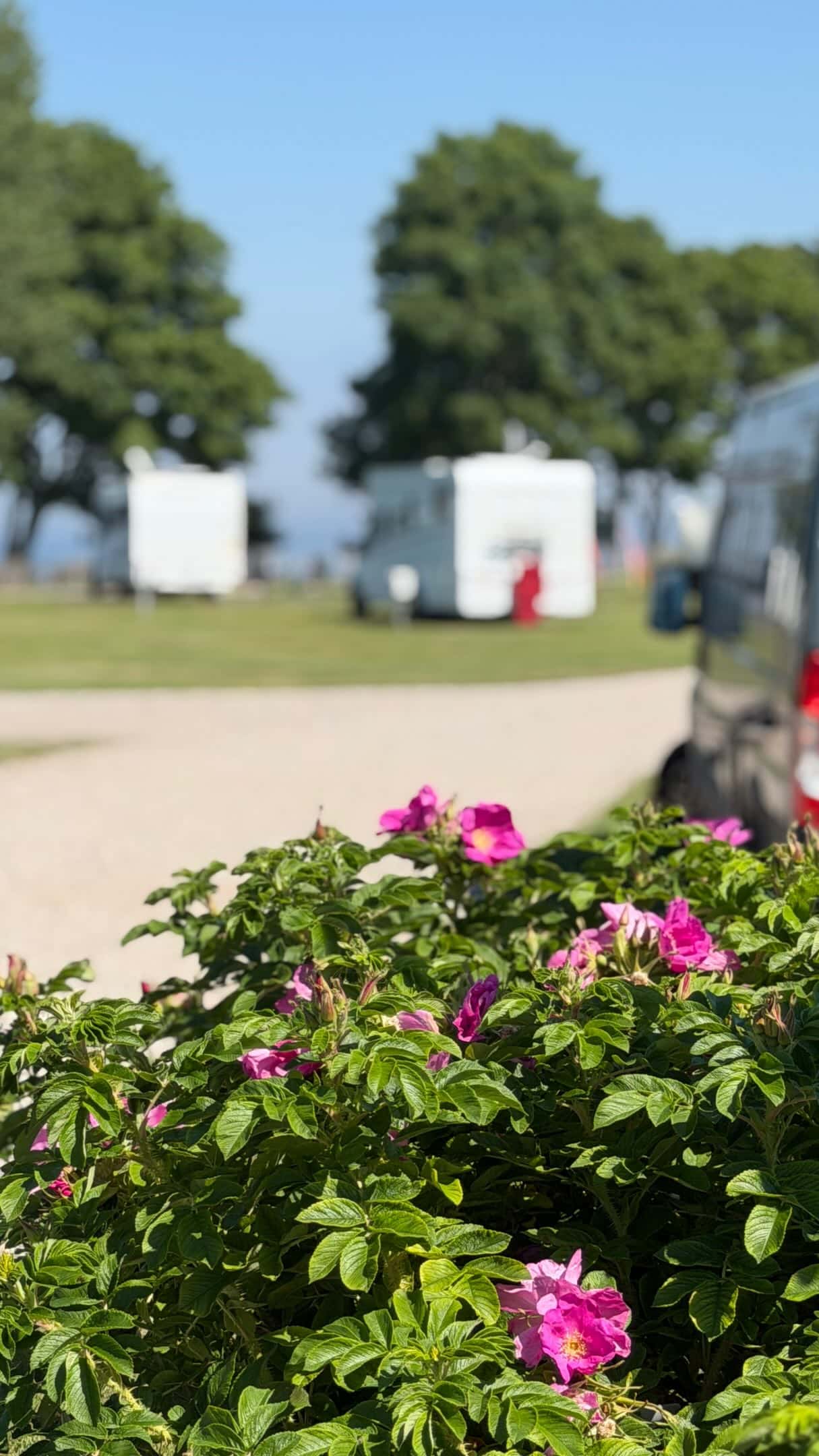 Instagram-Beitrag von Camping Klausdorfer Strand