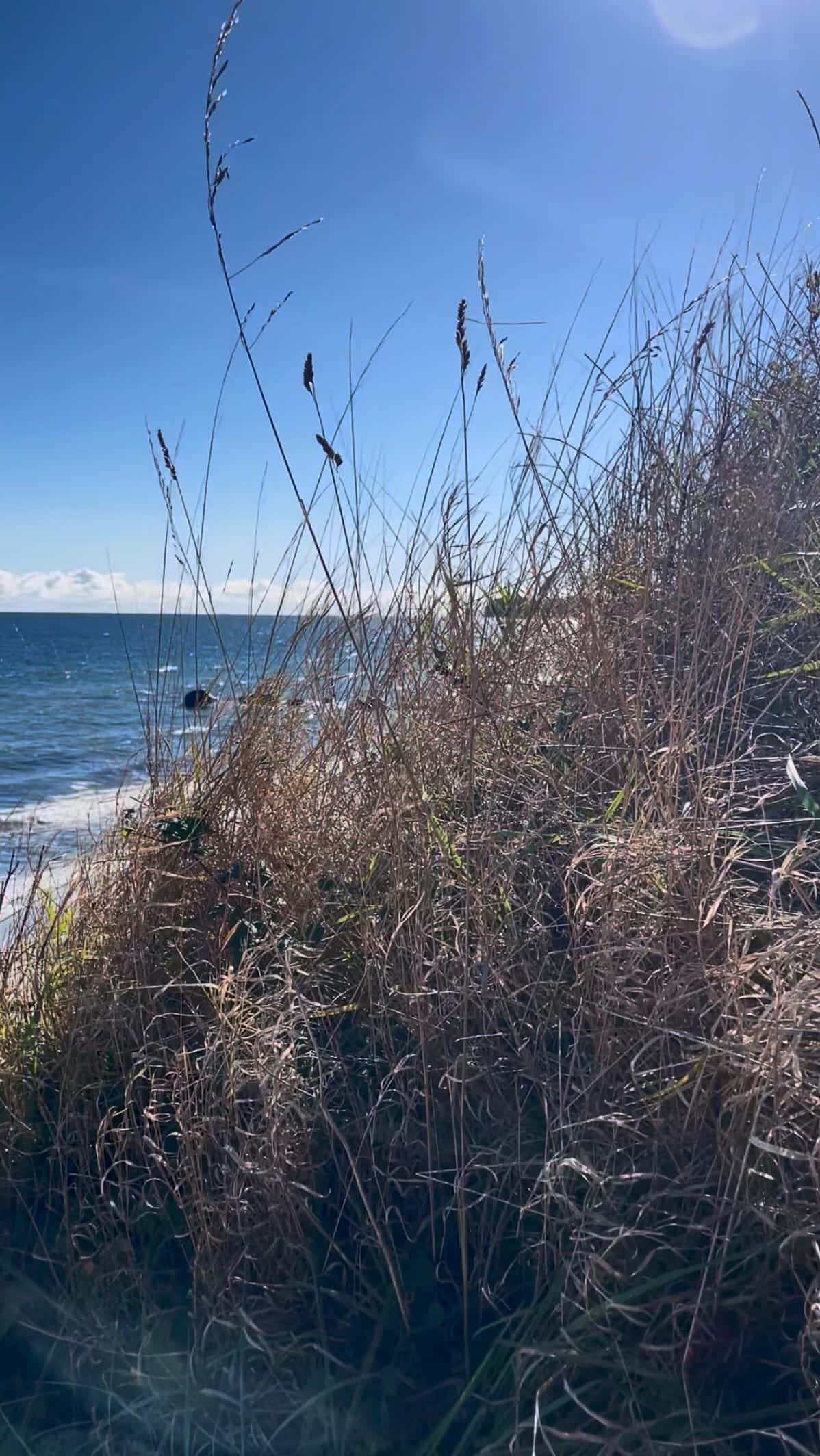 Instagram-Beitrag von Camping Klausdorfer Strand