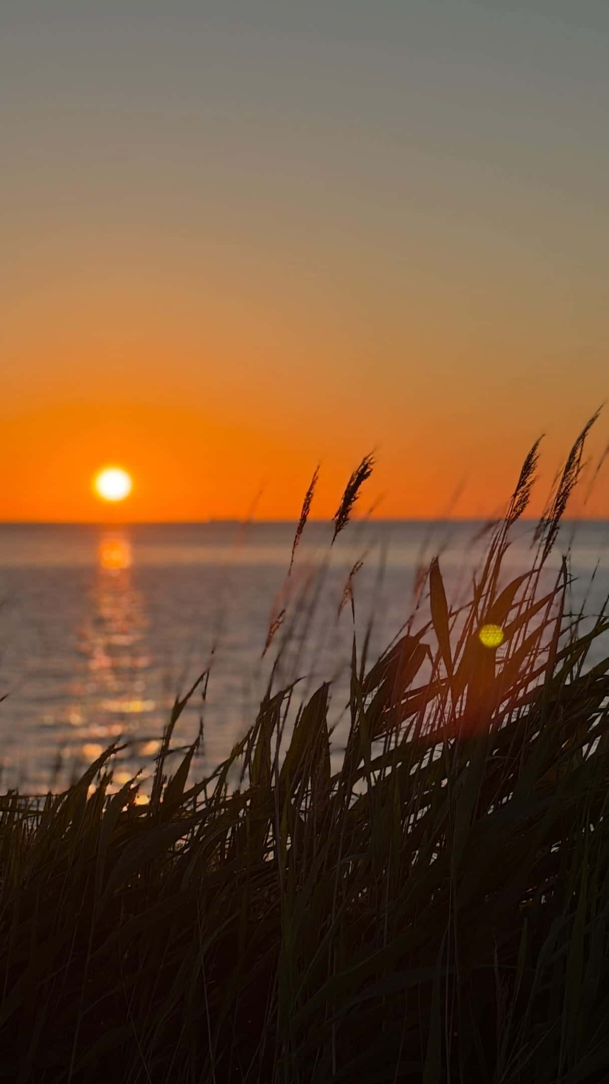 Instagram-Beitrag von Camping Klausdorfer Strand