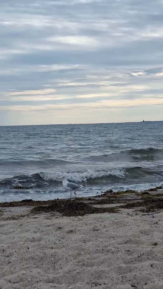 Instagram-Beitrag von Camping Südstrand