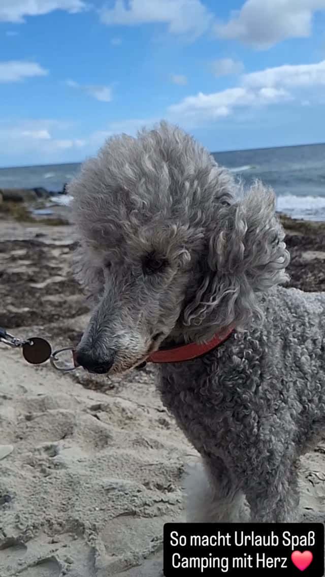 Instagram-Beitrag von Camping Südstrand