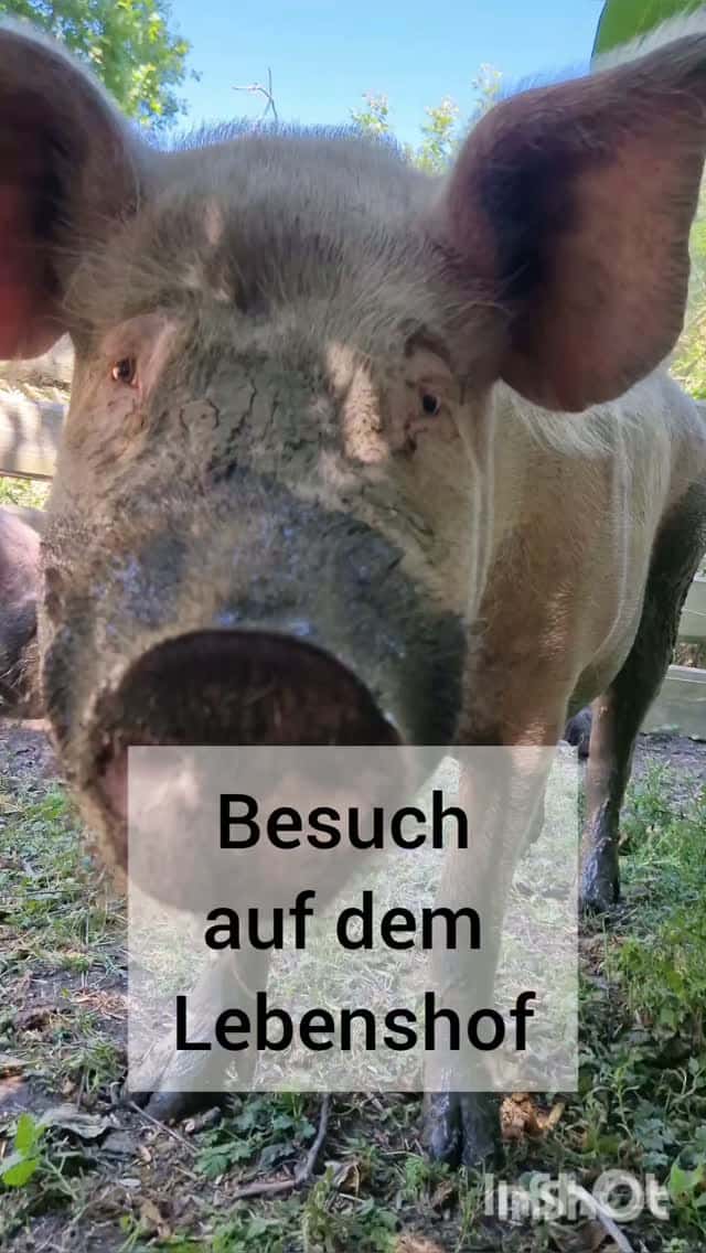 Instagram-Beitrag von Camping Südstrand