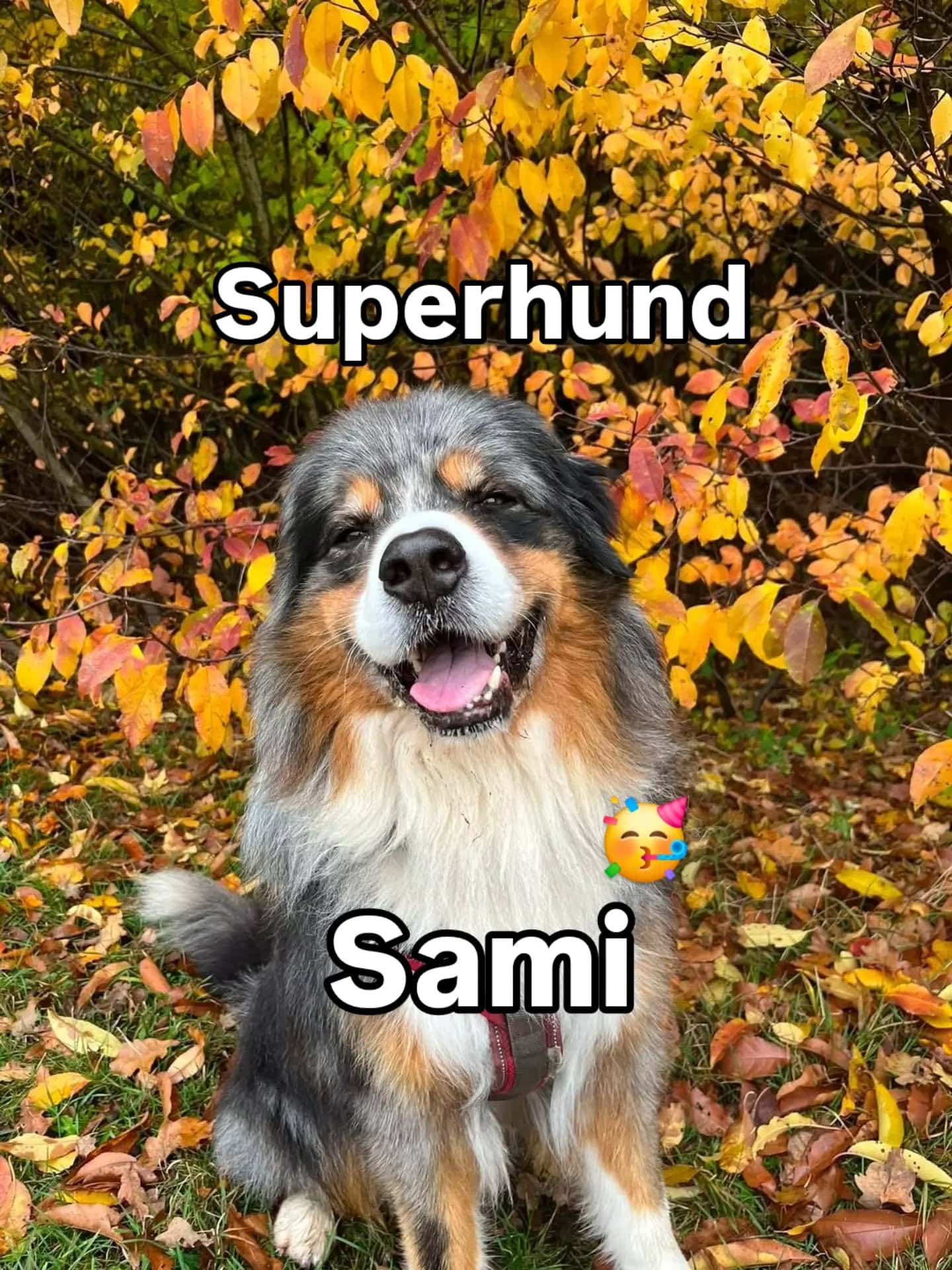 Instagram-Beitrag von Camping Südstrand