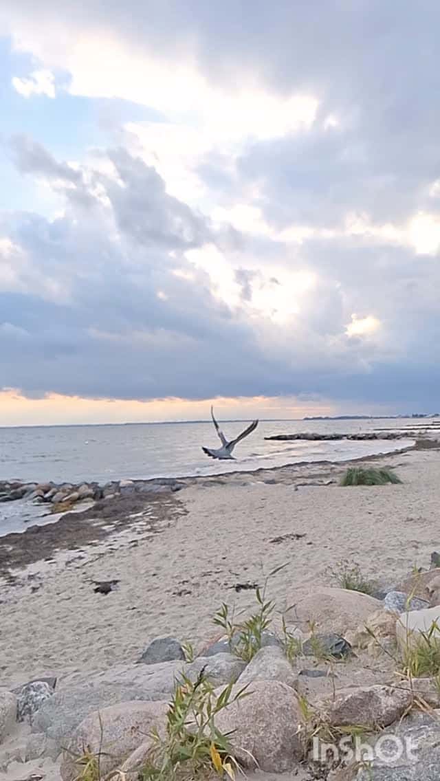 Instagram-Beitrag von Camping Südstrand