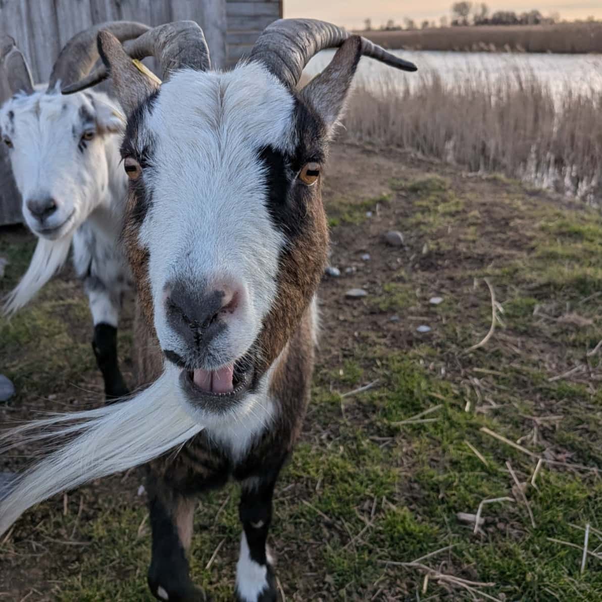 Instagram-Beitrag von Campingplatz Flüggerteich