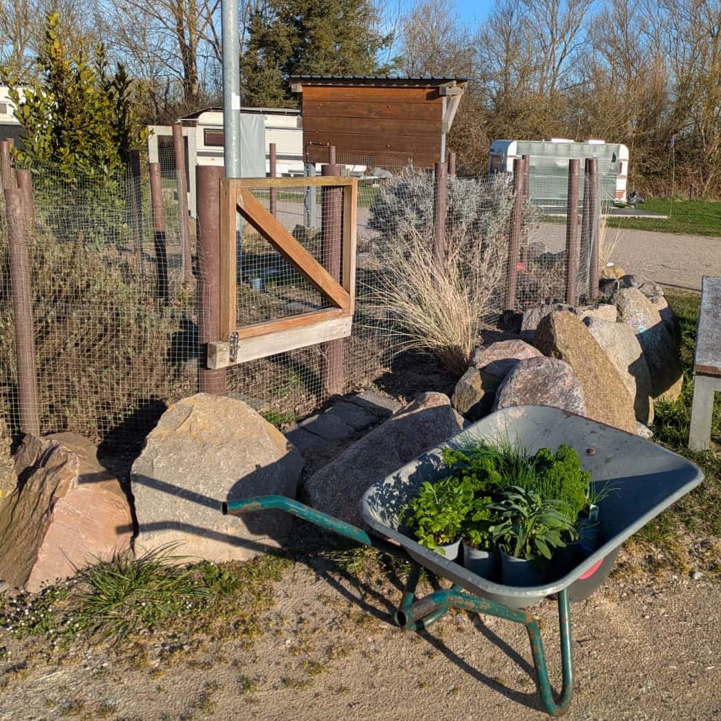 Instagram-Beitrag von Campingplatz Flüggerteich