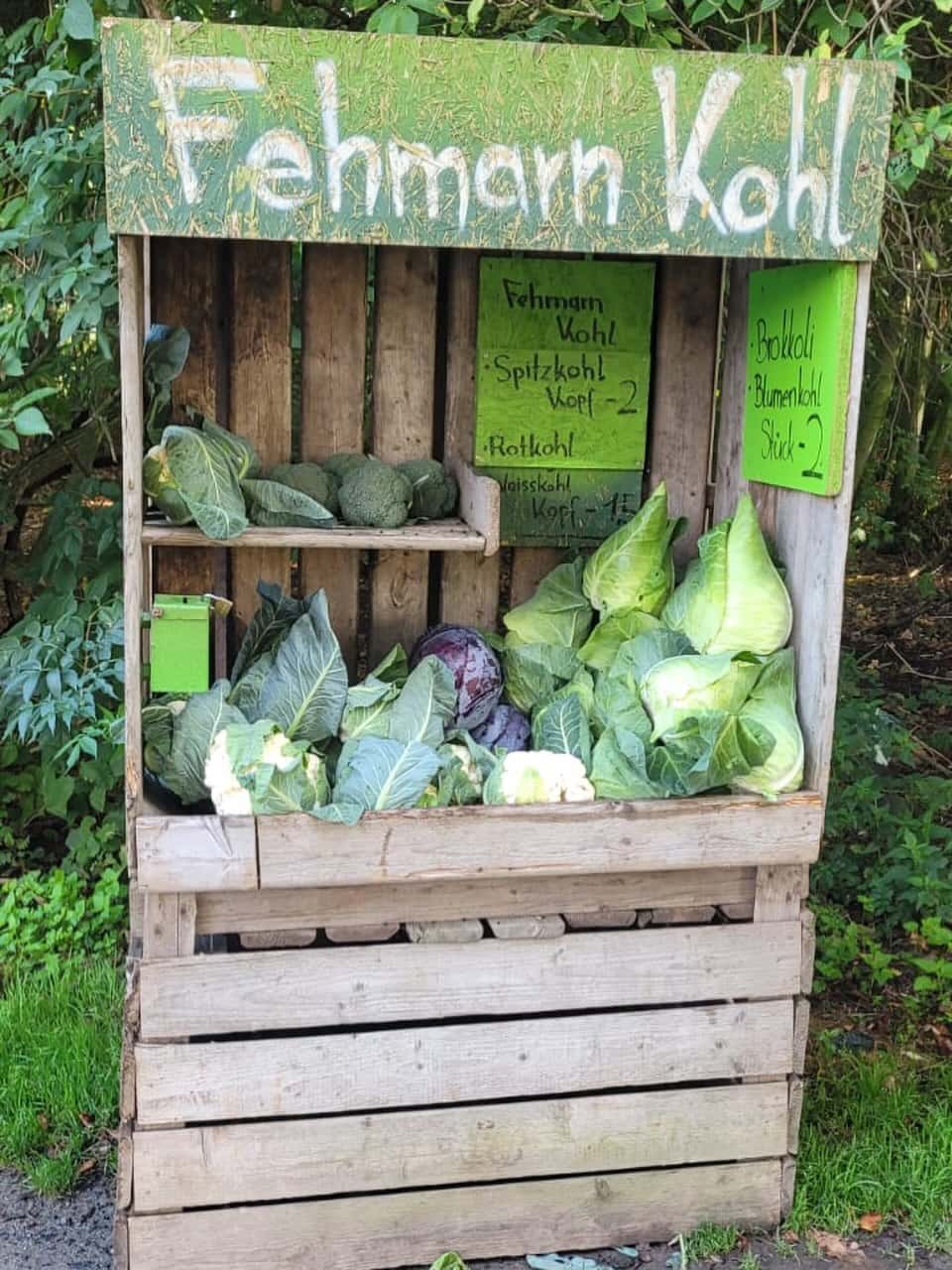 Instagram-Beitrag von Campingplatz Ostsee Katharinenhof