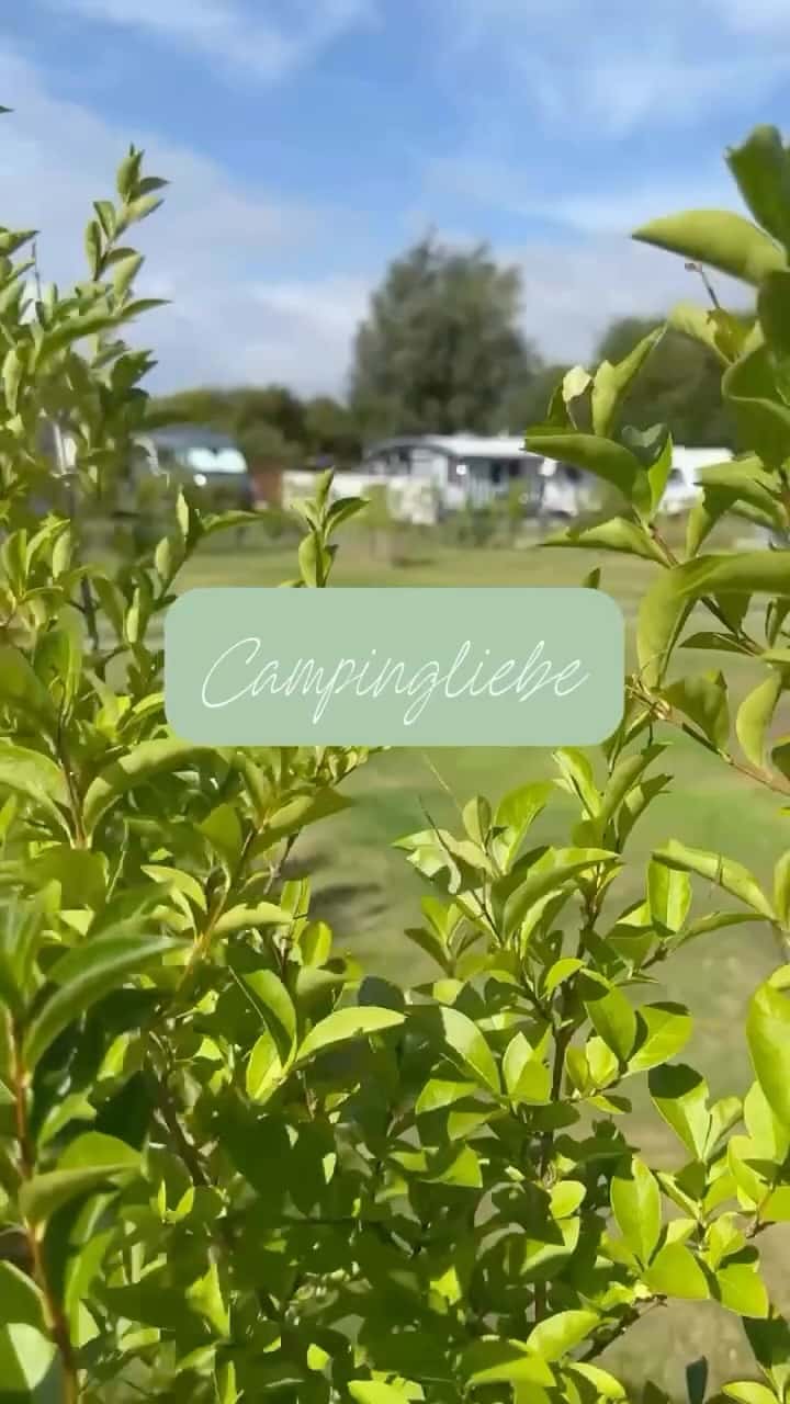 Instagram-Beitrag von Campingplatz zum Meeschendorfer Strand