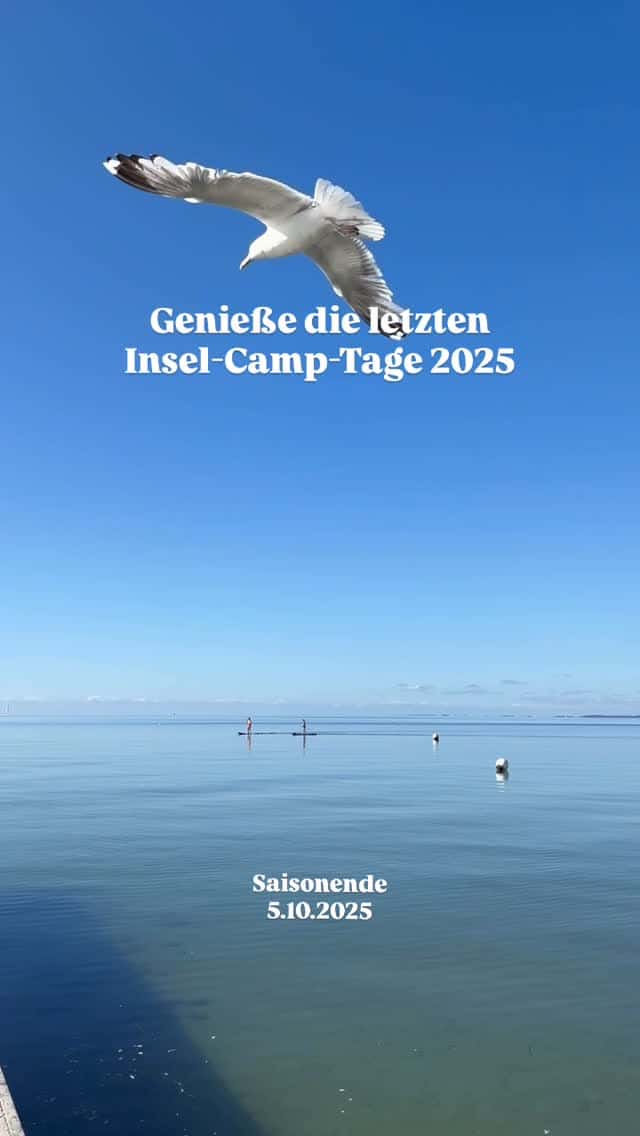 Instagram-Beitrag von InselCamp Fehmarn