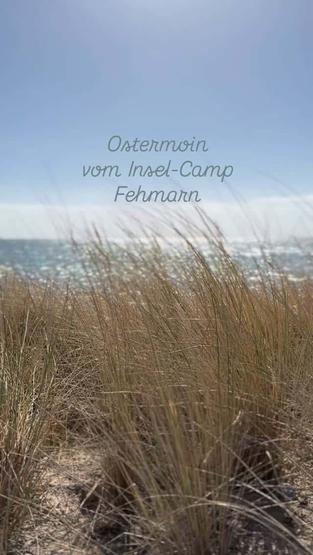 Instagram-Beitrag von InselCamp Fehmarn