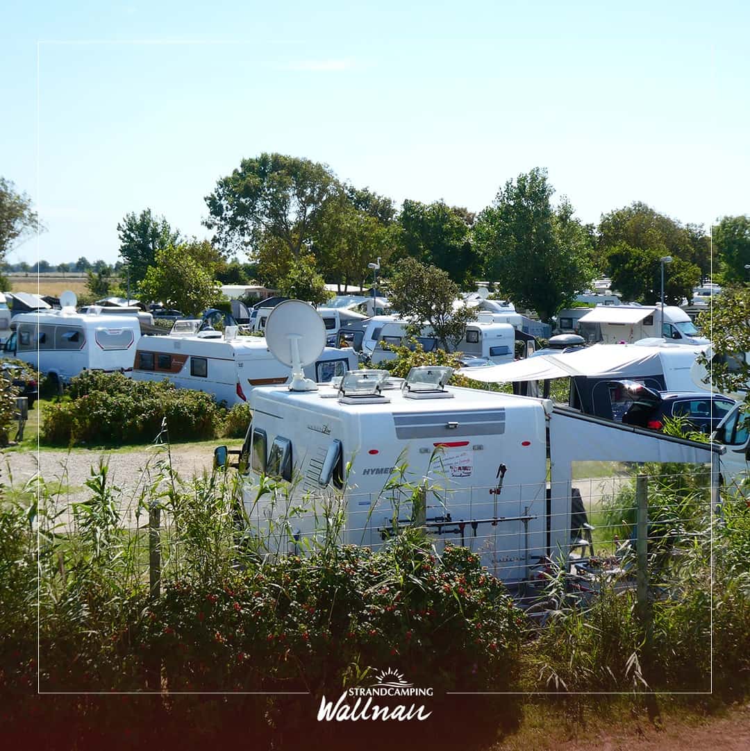 Instagram-Beitrag von Strandcamping Wallnau