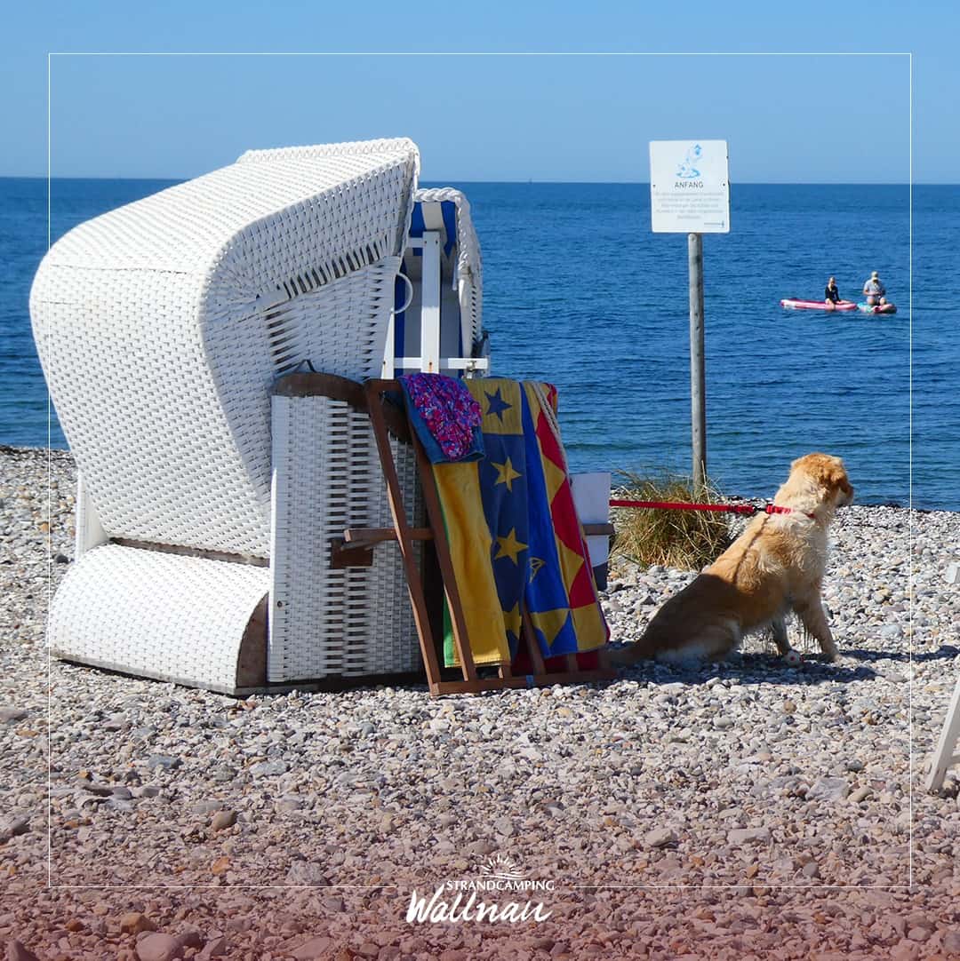 Instagram-Beitrag von Strandcamping Wallnau