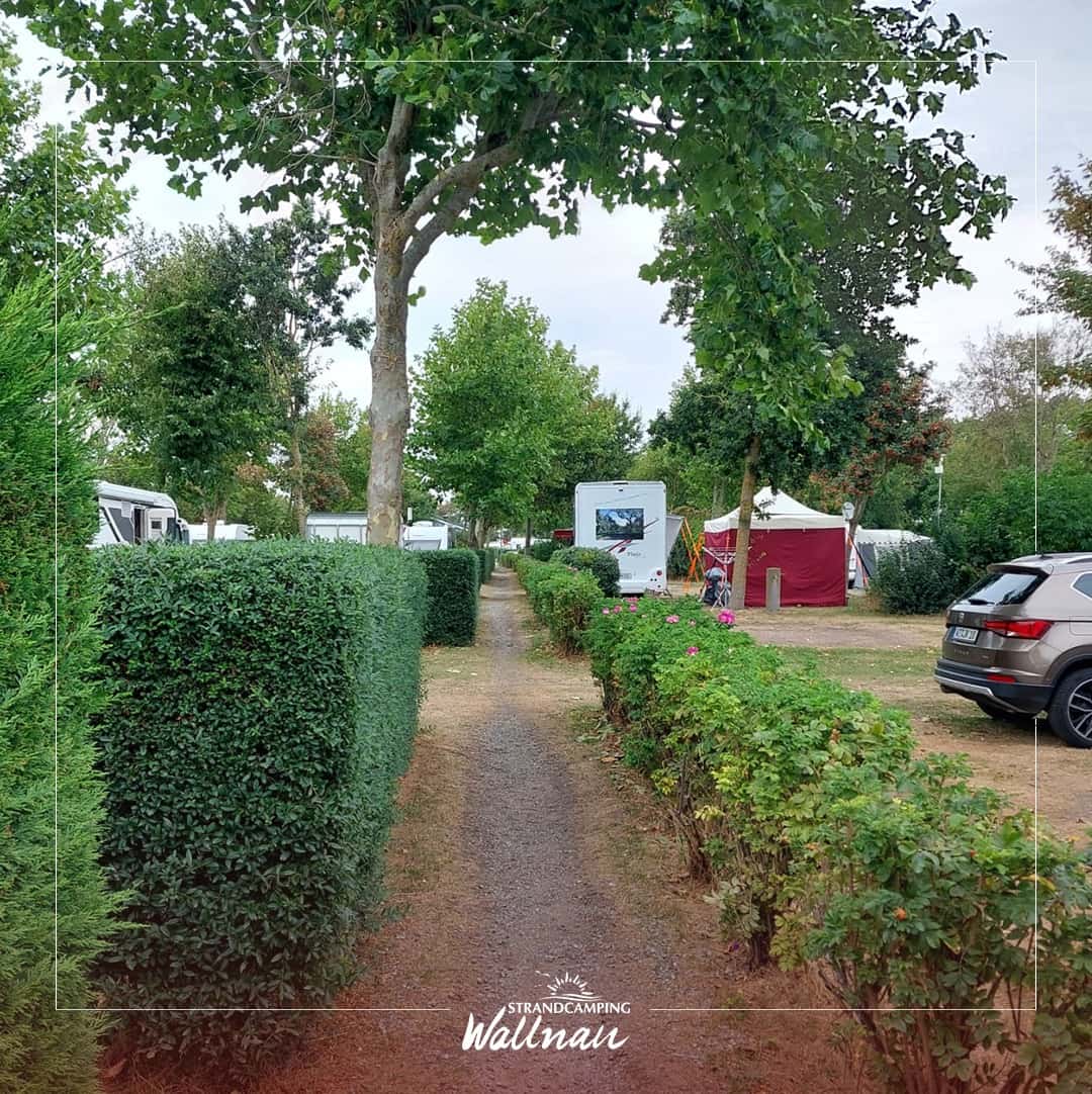Instagram-Beitrag von Strandcamping Wallnau