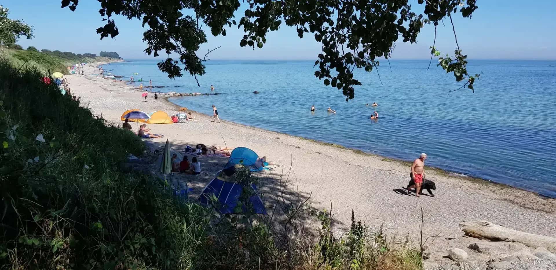 Campingplatz Ostsee Katharinenhof – Bild 2