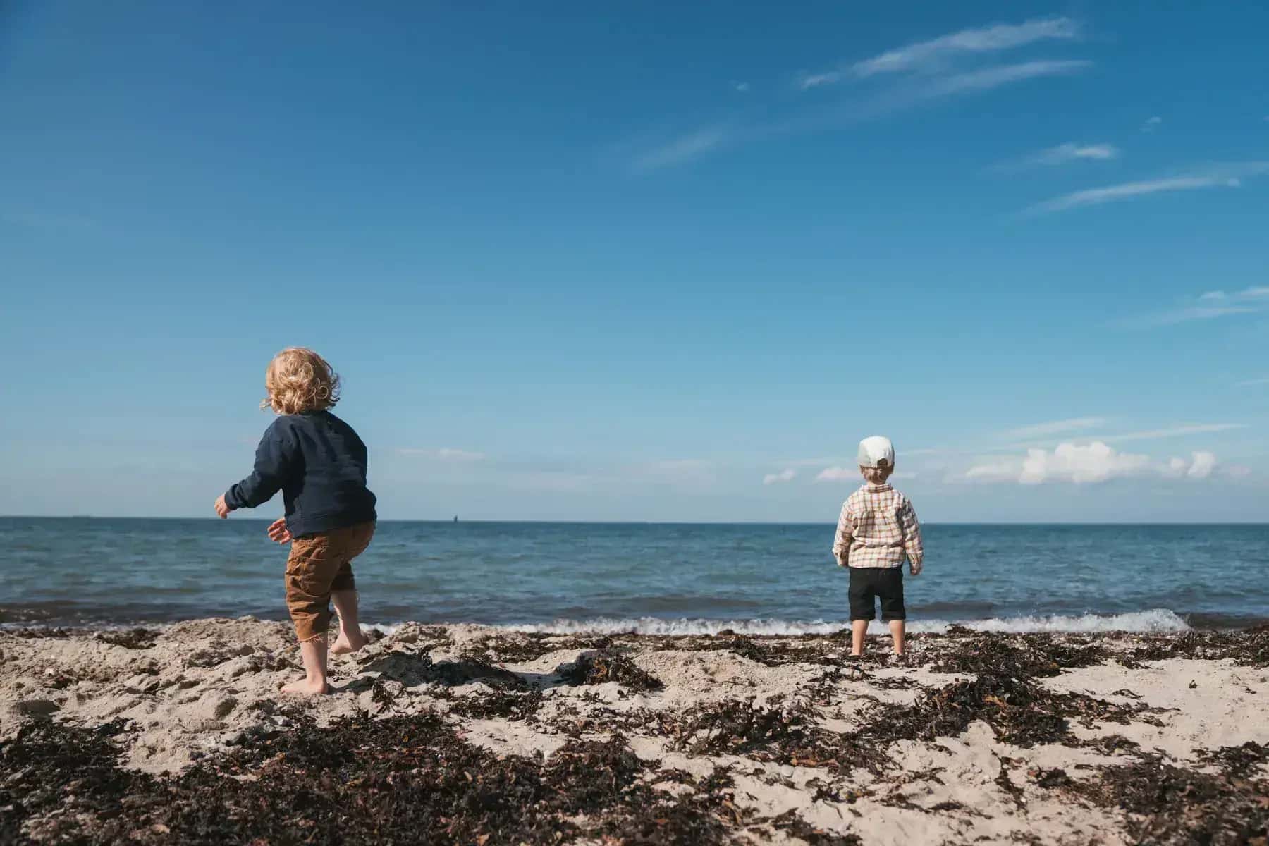 Ahoi-Camp Fehmarn – Bild 2