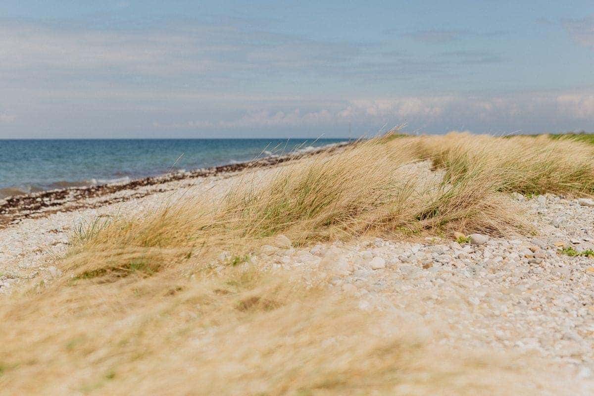 Strandcamping Wallnau – Bild 4