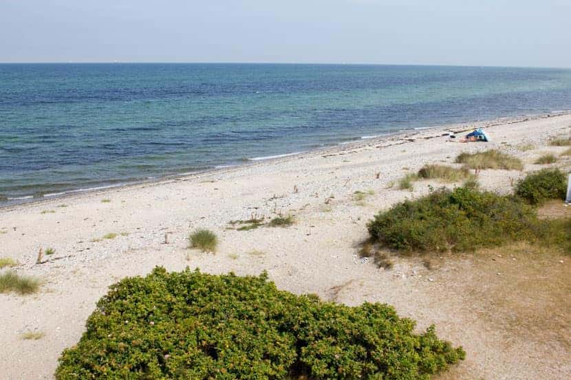 Camping am Deich – Bild 4