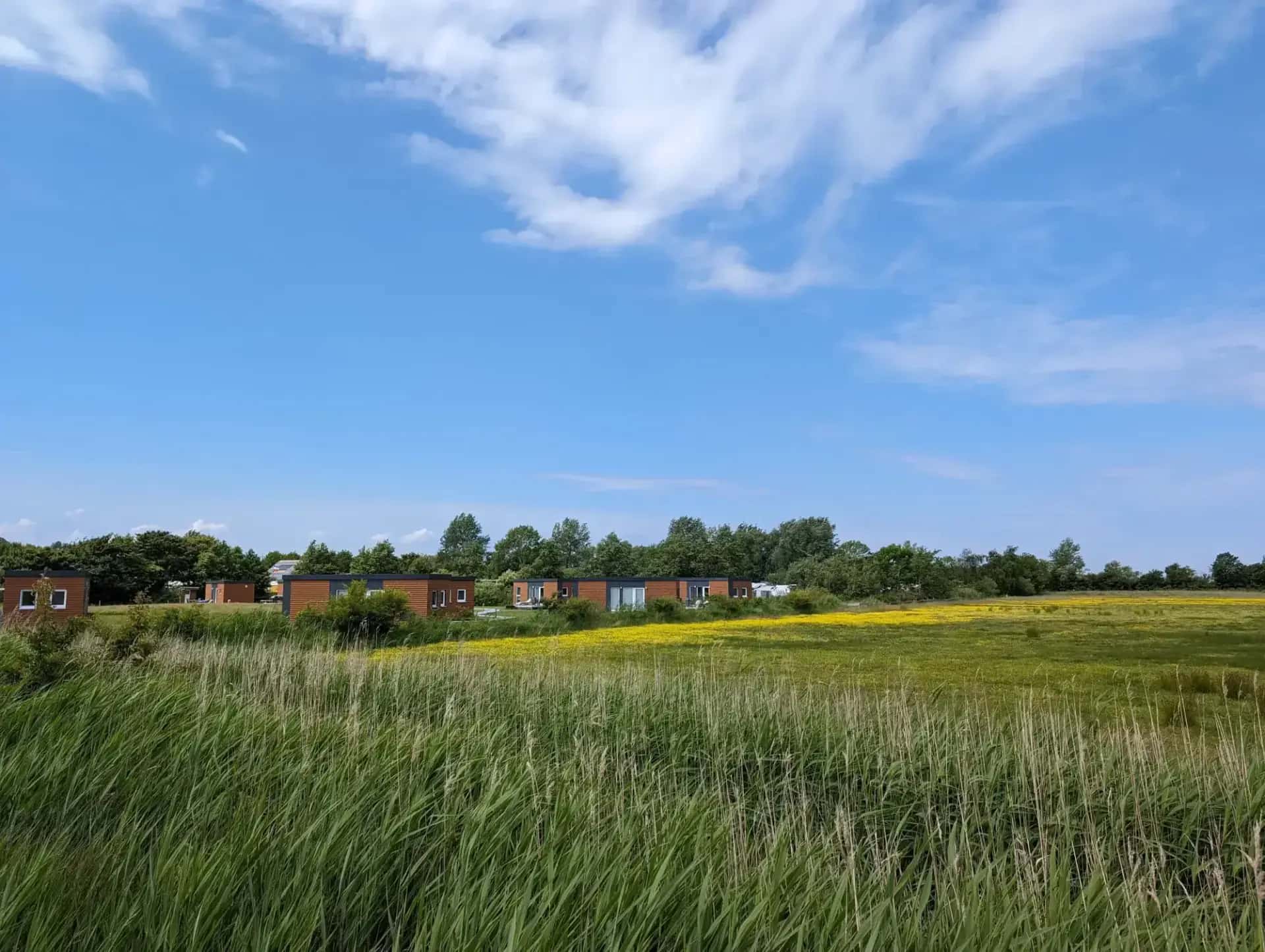 Campingplatz Flüggerteich – Bild 3