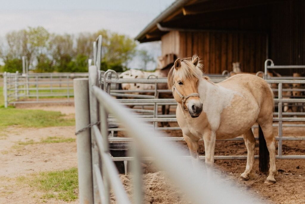 20210518_Wallnau-36_compressed