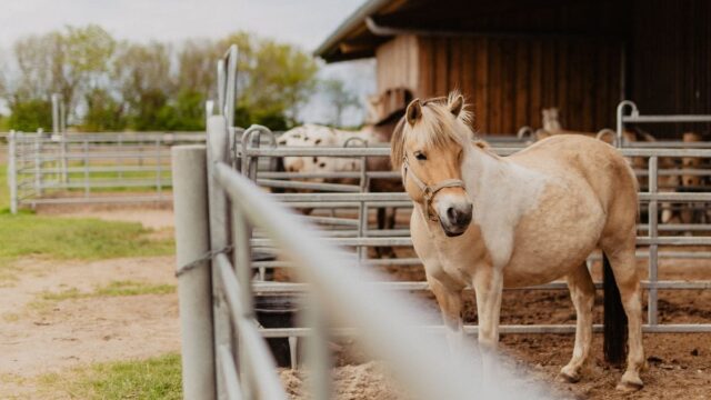 20210518_Wallnau-36_compressed