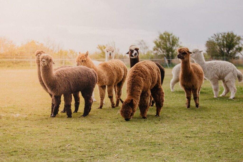 20210518_Wallnau-3_compressed