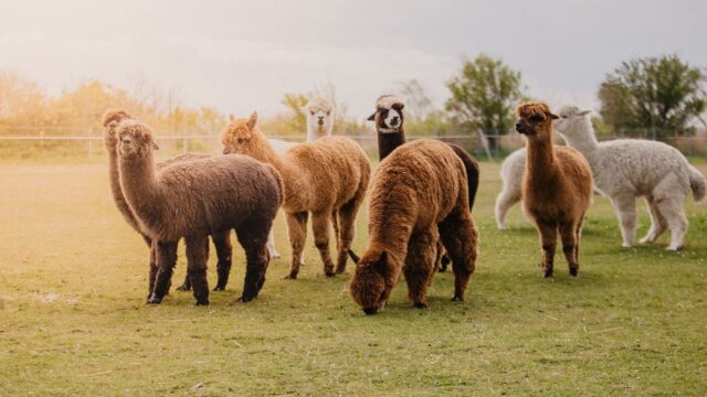 20210518_Wallnau-3_compressed