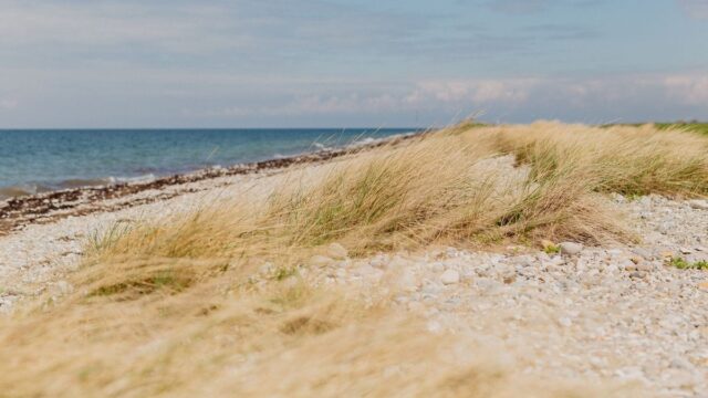 20210518_Wallnau-43_compressed