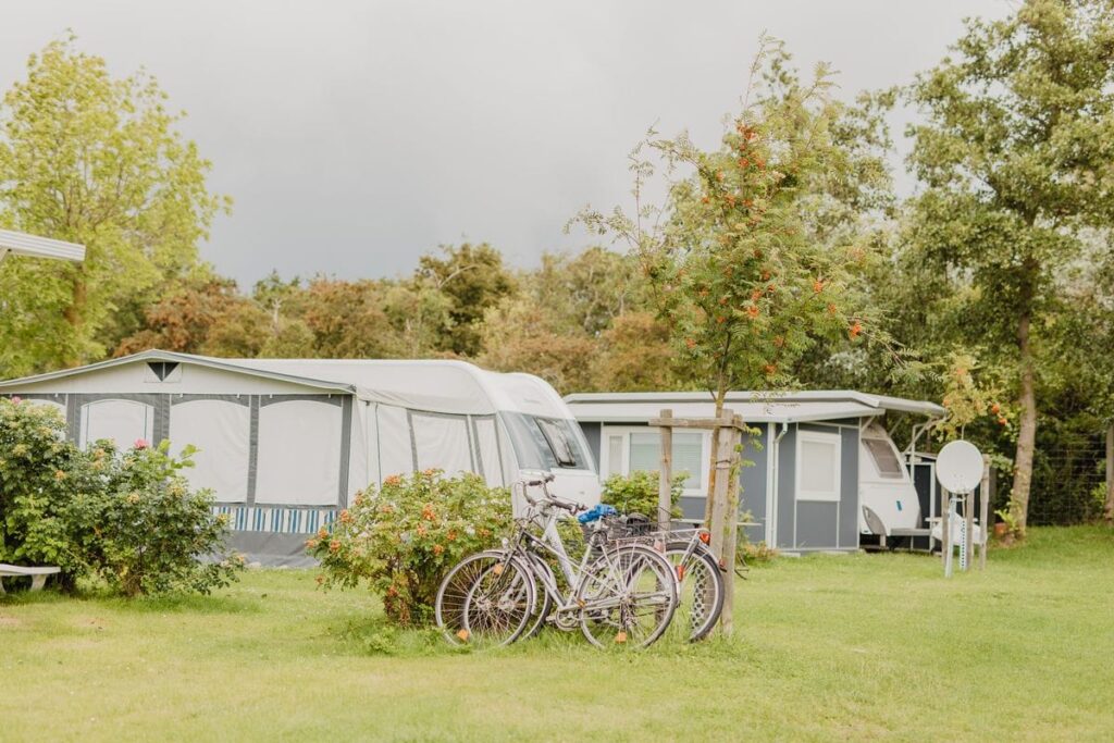 20210818_Wallnau-20_compressed