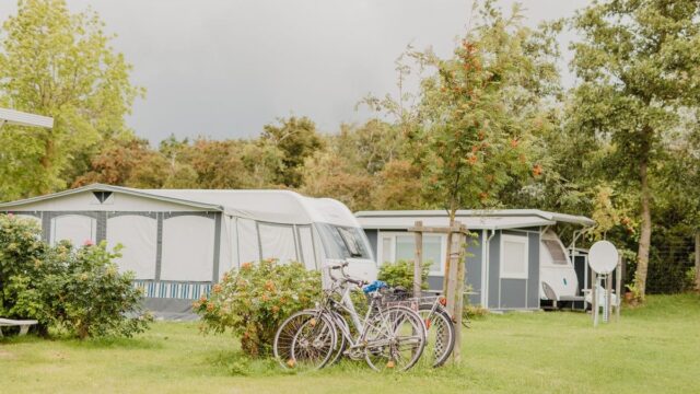 20210818_Wallnau-20_compressed