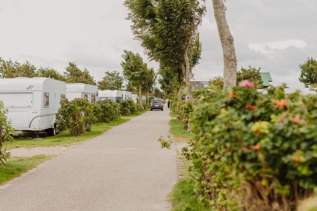 20210818_Wallnau-62_compressed