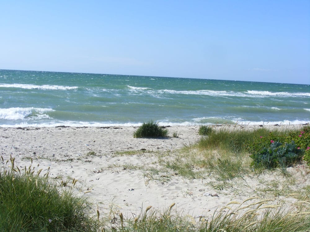 Campingplatz-Flueggerteich-DSCF1051