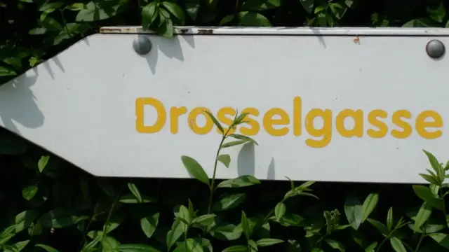 Campingplatz-am-niobe-Schlid-Drosselgasse