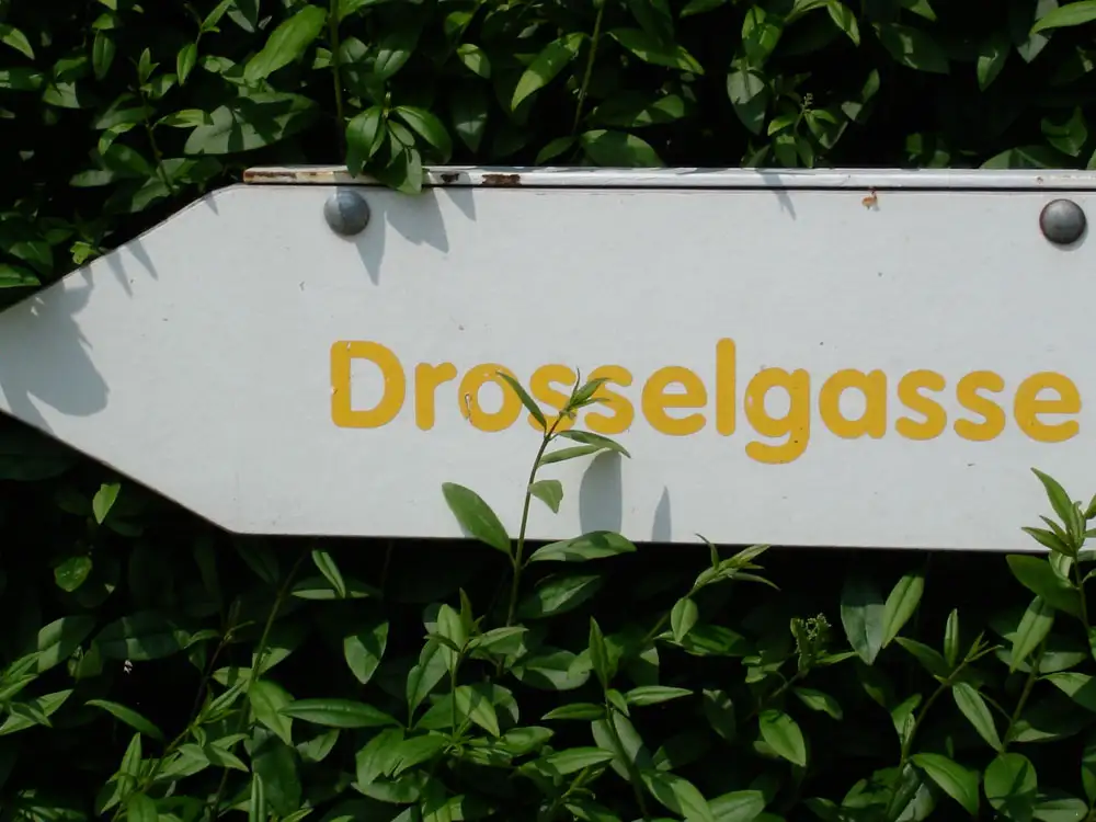 Campingplatz-am-niobe-Schlid-Drosselgasse