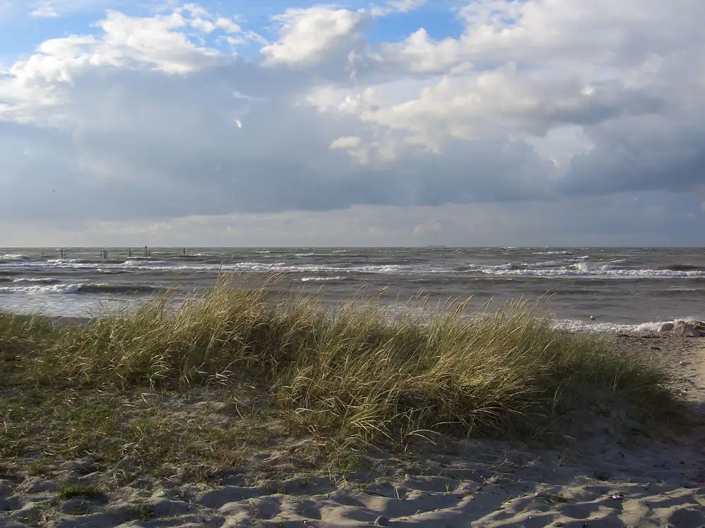 Campingplatz-am-niobe-rauheSEE