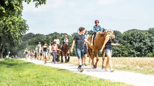 Jpeg Camping Katharienhof (105 von 182)_komprimiert