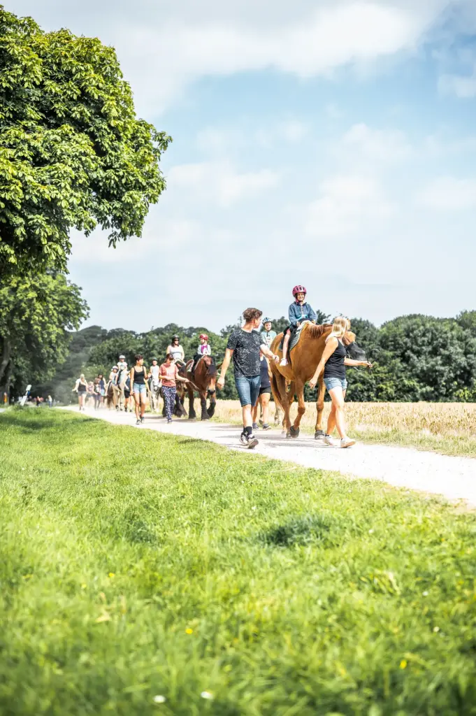 Jpeg Camping Katharienhof (105 von 182)_komprimiert