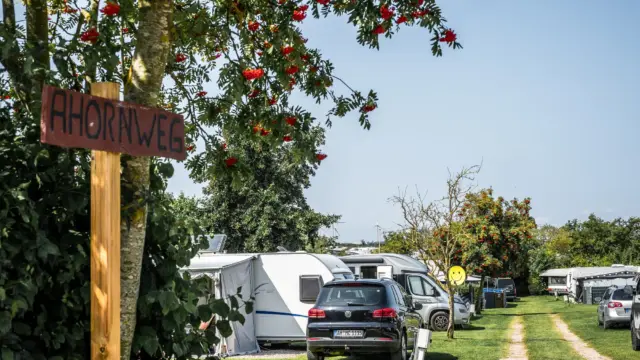 Jpeg Camping Katharienhof (73 von 182)_komprimiert