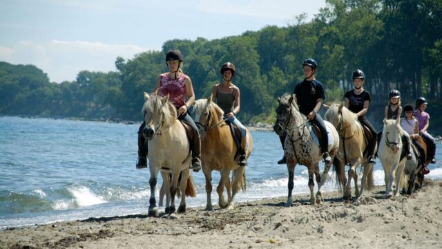 Katharinenhof_Reiten_RZ