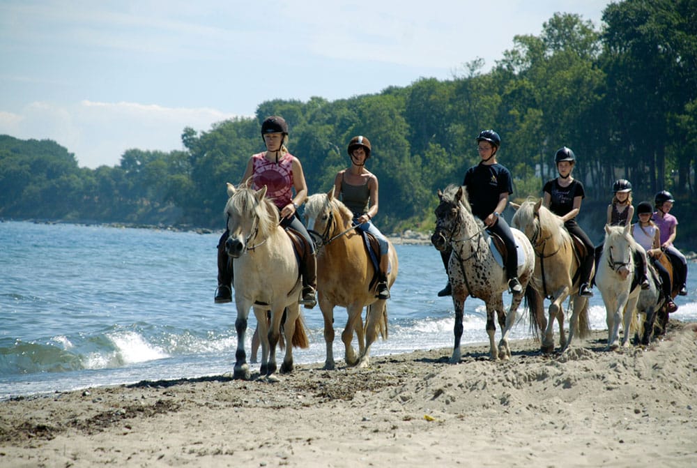 Katharinenhof_Reiten_RZ