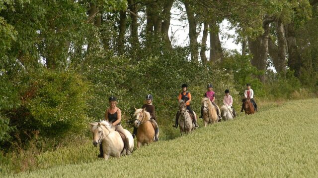 camping-ostsee-katharienhof_reiten